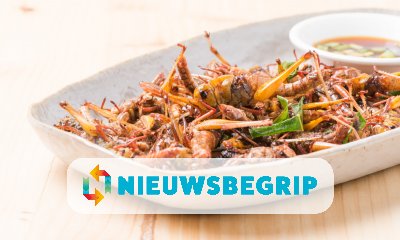 Plaatje Sprinkhanen op je bord?