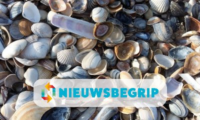 Plaatje Grote schelpenteldag in Nederland