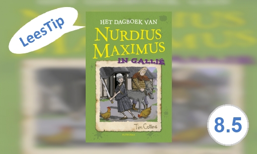 Plaatje Het dagboek van Nurdius Maximus in Gallië