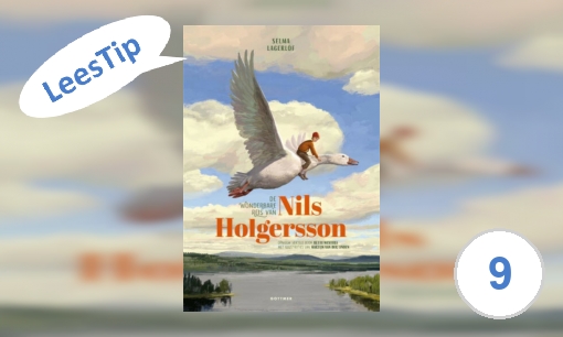 Plaatje De wonderbare reis van Nils Holgersson