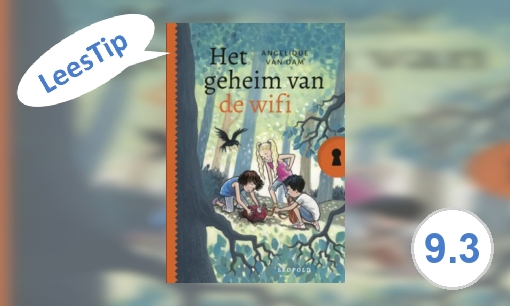 Plaatje Het geheim van de wifi